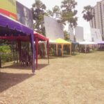 Canopies-22