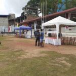 Canopies-6