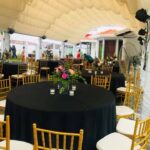 Parabolic marquee 11