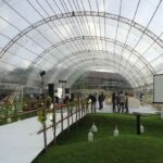 Parabolic tent19